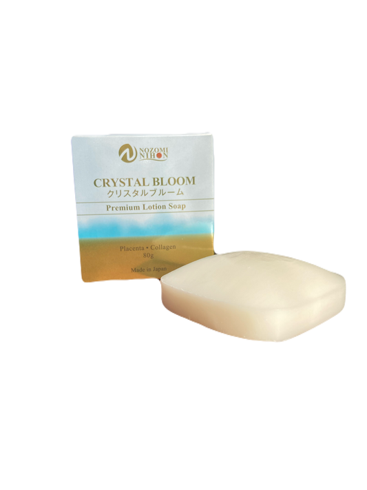 【NOZOMI NIHON】日本製 choose2 and Plus Soap Set